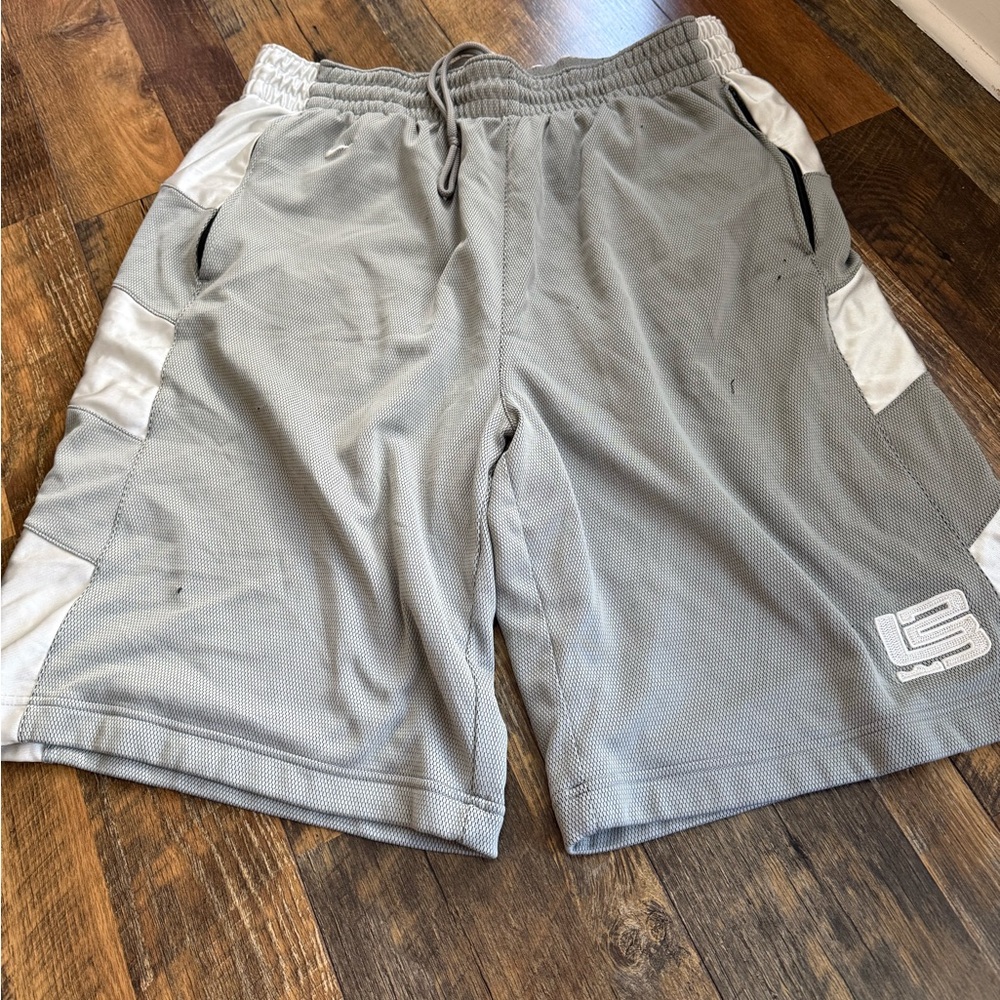 Nike Vinatge LeBron shorts